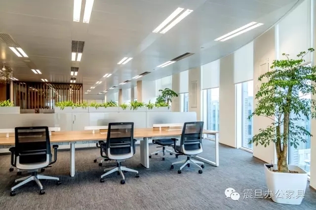 魚躍醫療(圖13)